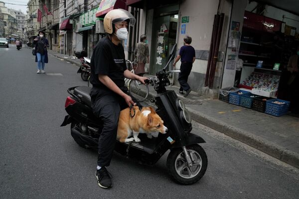 Мужчина выводит свою собаку за продуктами в среду. - Sputnik Узбекистан