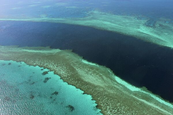 Большой барьерный риф, Квинсленд. - Sputnik Узбекистан
