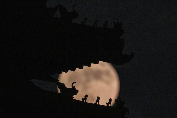 Украшения на крыше угловой башни в Запретном городе, изображающие священных зверей, вырисовываются на фоне суперлуния во вторник, 14 июня 2022 года, в Пекине. Луна достигает своей полной стадии во вторник, во время явления, известного как суперлуние из-за его близости к Земле, и его также называют &quot;клубничной луной&quot;, потому что это полнолуние во время сбора клубники. - Sputnik Узбекистан