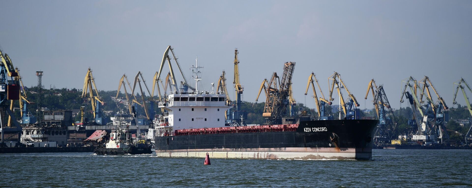 Pervoe inostrannoe sudno vishlo v more iz porta Mariupolya - Sputnik O‘zbekiston, 1920, 17.01.2026