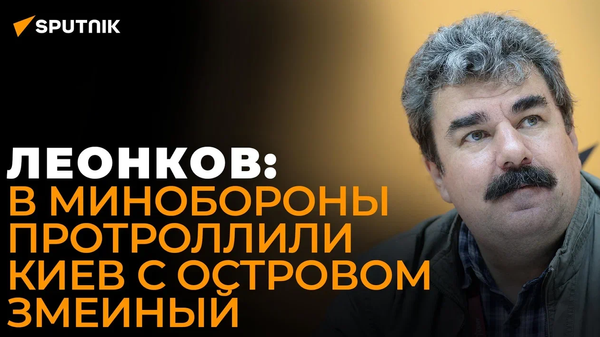 Леонков объяснил, почему Россия оставила остров Змеиный - Sputnik Узбекистан