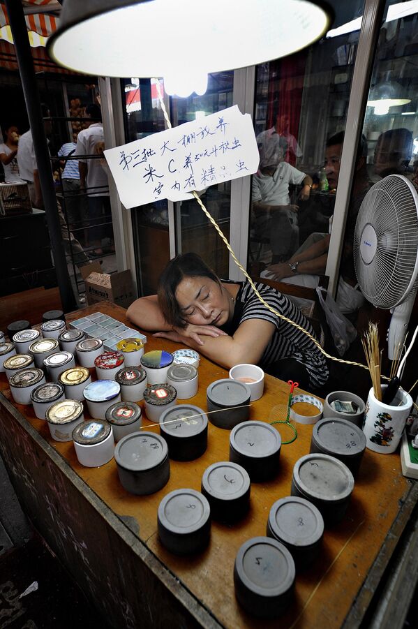 Женщина, торгующая сверчками, спит рядом с ящиками насекомых на рынке в Китае, 26 июля 2009 года. - Sputnik Узбекистан
