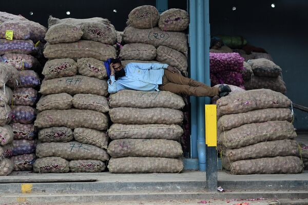 Рабочий спит на мешках с луком во время карантина COVID-19 на оптовом рынке в Индии, 26 марта 2020 года. - Sputnik Узбекистан