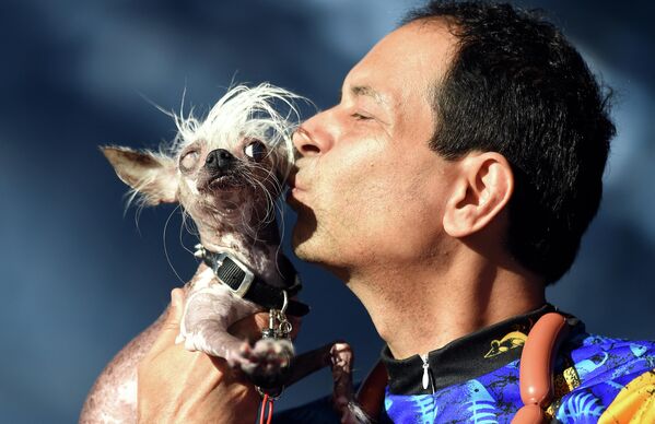 Собака породы китайская хохлатая со своим хозяином на конкурсе &quot;Самая уродливая собака в мире&quot; в Петалуме, Калифорния - Sputnik Узбекистан