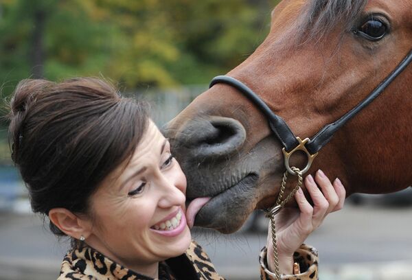 Трехлетний арабский жеребец по кличке Эвертон целует свою хозяйку Екатерину во время выставки лошадей &quot;Эквирос&quot; в Москве, 5 октября 2011 года. - Sputnik Узбекистан
