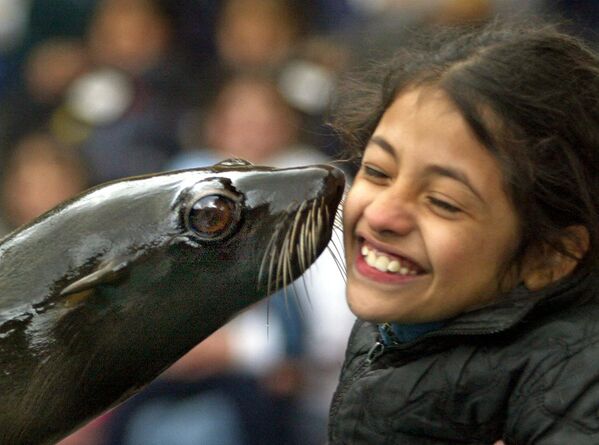 Девочка во время бесплатного визита поцеловал тюлень в зоопарке Буэнос-Айреса 6 августа 2004 года. Зоопарк Буэнос-Айреса открывает двери для обездоленных детей каждый год в связи с празднованием Дня ребенка в Аргентине. - Sputnik Узбекистан