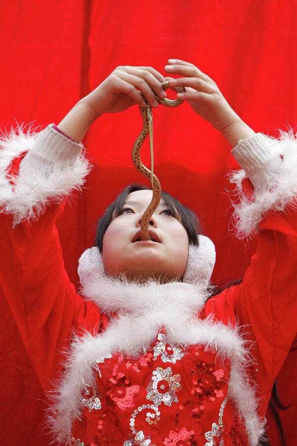Китайская девушка проглатывает часть змеи во время представления на ярмарке в храме Дитан на третий день китайского Нового года. Пекине, Китай, 5 февраля 2011 года. - Sputnik Узбекистан