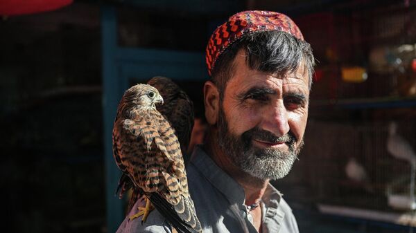 Птичий рынок Ка Фароши в Кабуле, Афганистан - Sputnik Узбекистан