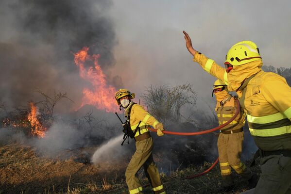Пожарные пытаются потушить лесной пожар на севере Испании. - Sputnik Узбекистан