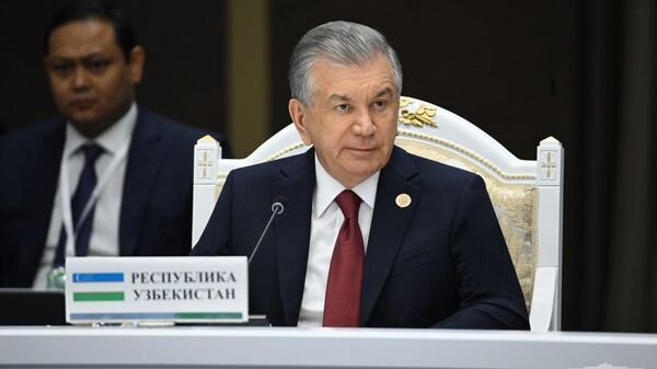 Президент Шавкат Мирзиёев на саммите в Чолпон-Ате - Sputnik Ўзбекистон