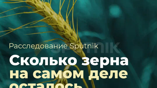 Сколько зерна на самом деле осталось на Украине? - Sputnik Узбекистан