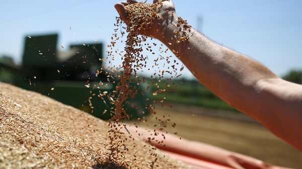 Уборка урожая зерновых, архивное фото - Sputnik Узбекистан
