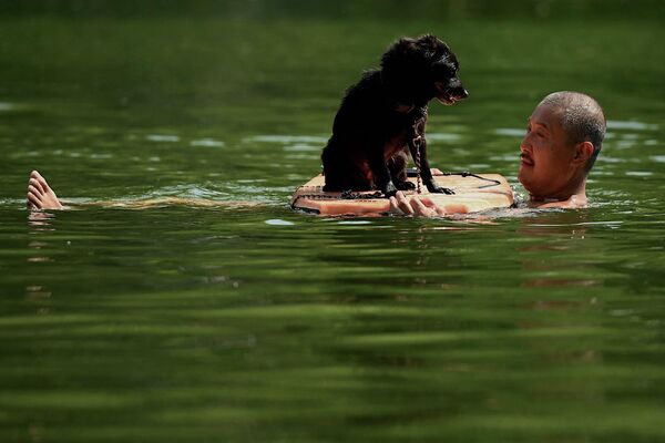 Мужчина плавает со своей собакой в Пекине.  - Sputnik Узбекистан