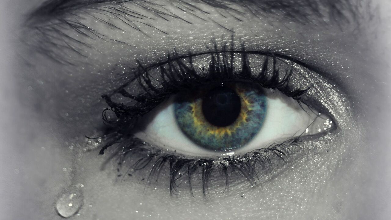 Brazzers porno 2012 yilning eng yaxshisidir.