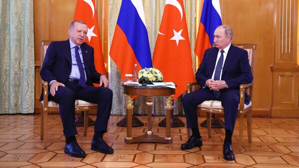 Prezident RF V. Putin provel peregovorы s prezidentom Turtsii R. Erdoganom v Sochi - Sputnik Oʻzbekiston