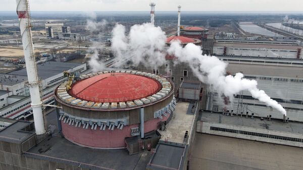 Запорожская АЭС находится под контролем российских военных - Sputnik Ўзбекистон