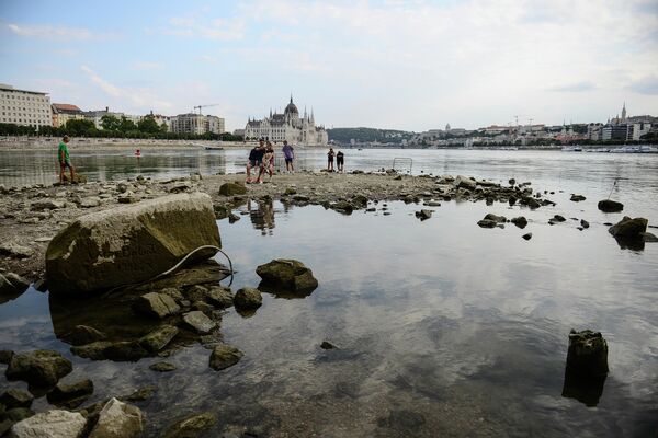 Северная оконечность острова Маргит, выступающая из воды из-за обмеления реки Дунай в Будапеште. - Sputnik Узбекистан
