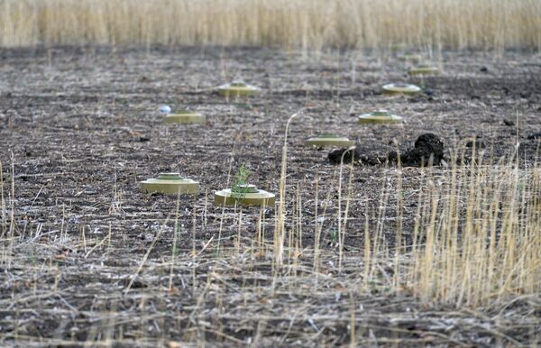 Противотанковые мины ТМ-62М на поле рядом с Бахмутом. - Sputnik Узбекистан