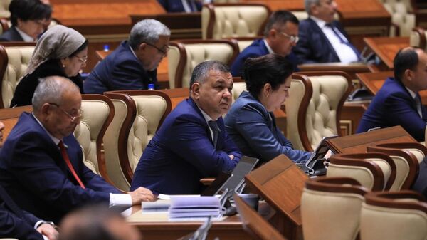 Пленарное заседание Сената Олий Мажлиса Узбекистана - Sputnik Ўзбекистон