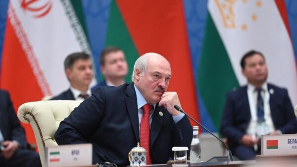 Президент Белоруси Александр лукашенко на заседании ШОС - Sputnik Ўзбекистон