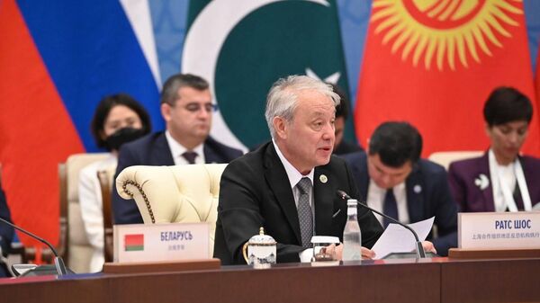 Директор исполкома РАТС ШОС Руслан Мирзаев во время выступления на ШОС - Sputnik Узбекистан
