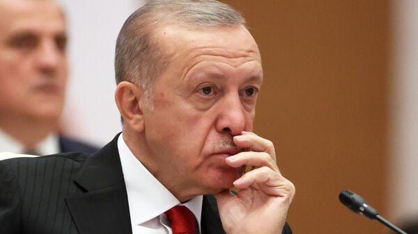 Президент Турции Реджеп Тайип Эрдоган на заседании Саммита Шанхайской организации сотрудничества - Sputnik Узбекистан