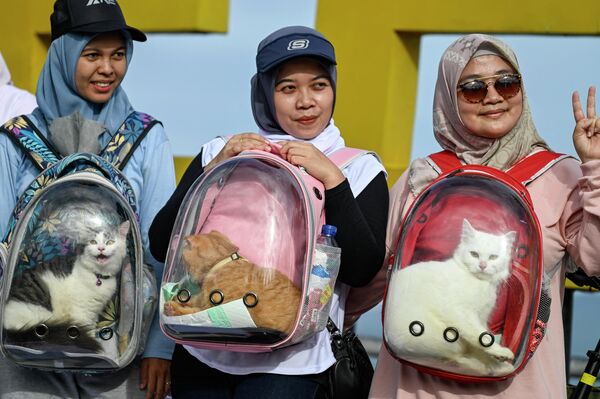 Индонезийки со своими домашними котами на прогулке во время кампании по защите животных в преддверии празднования Всемирного дня животных в Банда-Ачех. - Sputnik Узбекистан