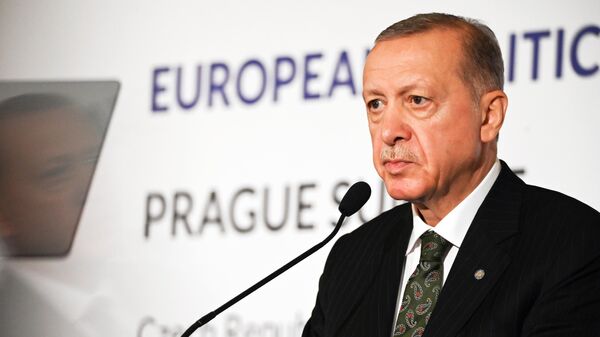 Redjep Tayip Erdogan, arxivnoe foto - Sputnik O‘zbekiston
