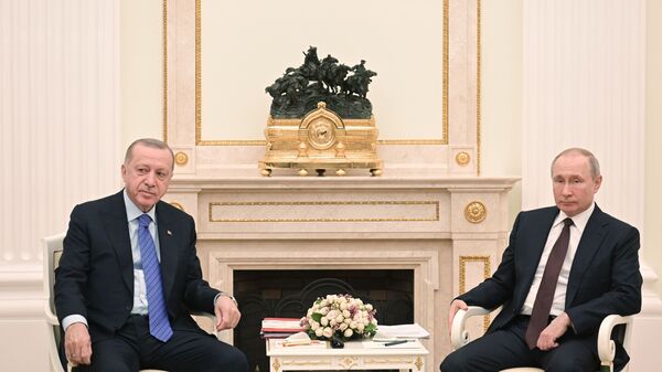 Президент РФ Владимир Путин встретился с президентом Турции Реджепом Эрдоганом - Sputnik Узбекистан