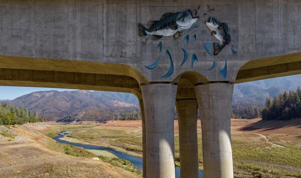Мурал с изображением выпрыгивающих из воды рыб на мосту через пересохшее озеро Шаста в Калифорнии.  - Sputnik Узбекистан