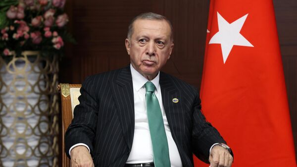 Redjep Tayip Erdogan, arxivnoe foto - Sputnik O‘zbekiston