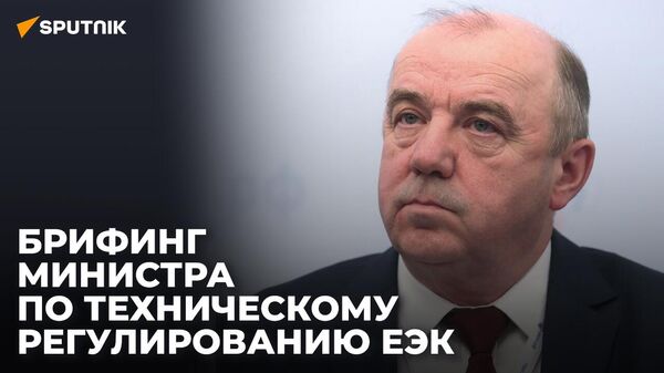 Брифинг министра по техническому регулированию ЕЭК   - Sputnik Узбекистан