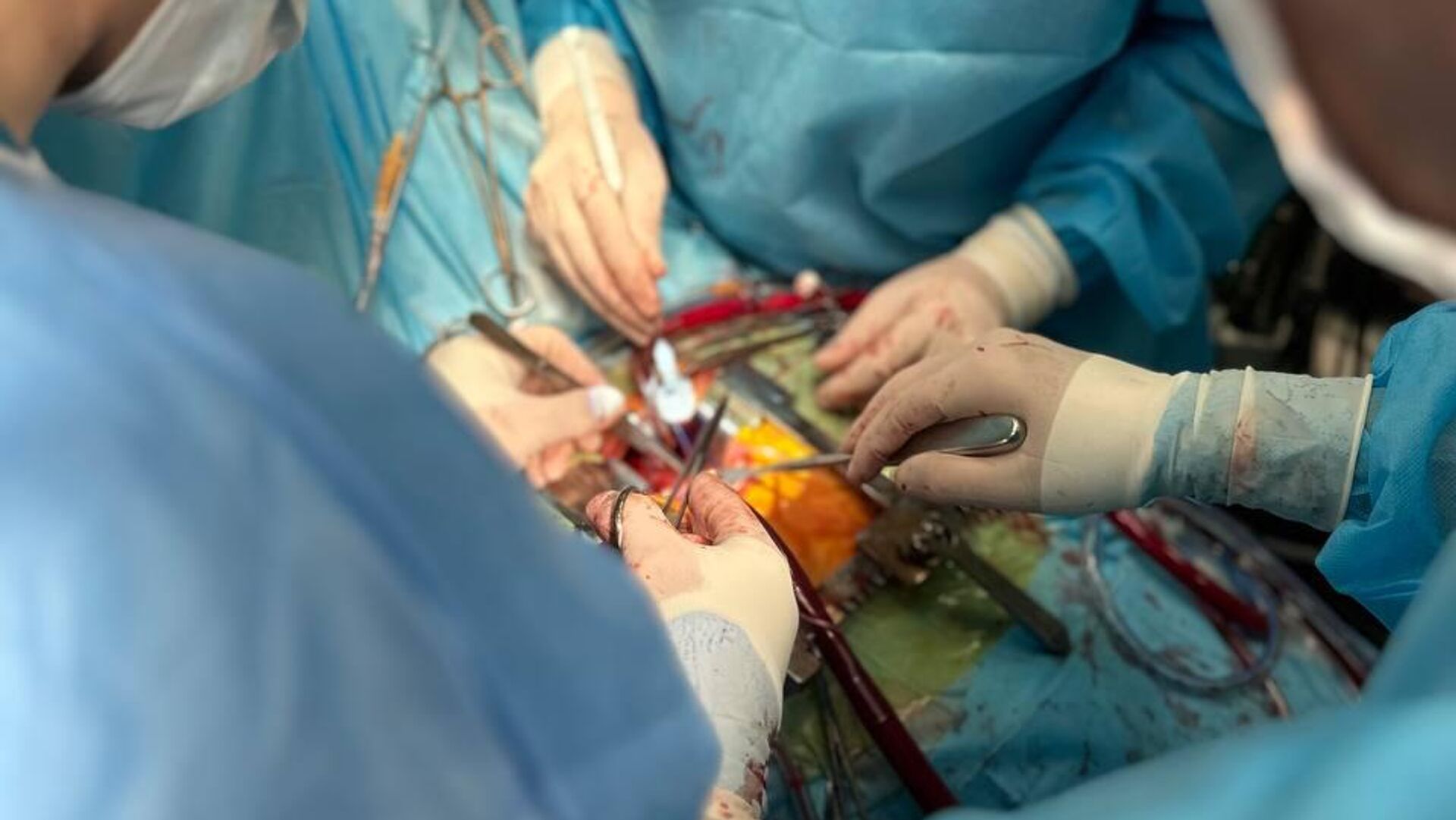 Rossiyaning uy qurilishi tabiiy kokraklari