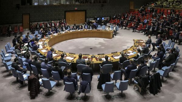 Заседание Совета безопасности ООН, архивное фото - Sputnik Ўзбекистон