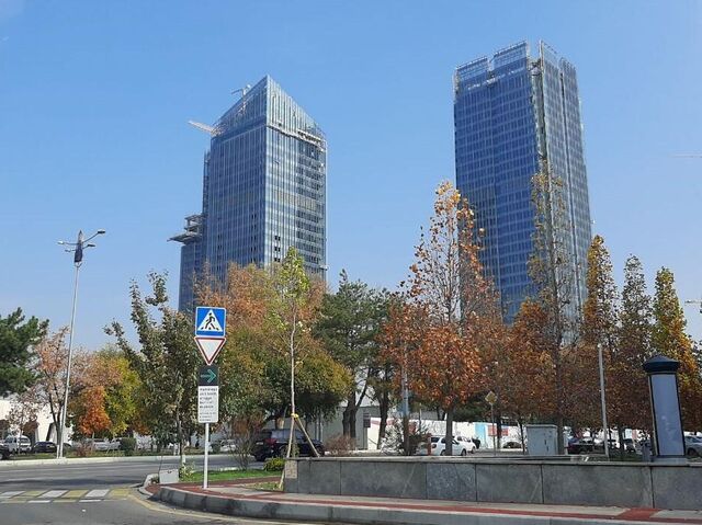 Katta dumba ayollar grafik shaxsiy