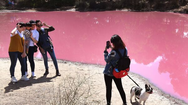 Озеро ярко-розового цвета в Австралии, ставшее таким из-за экстремального уровня соли в связи с жаркой погодой - Sputnik Узбекистан
