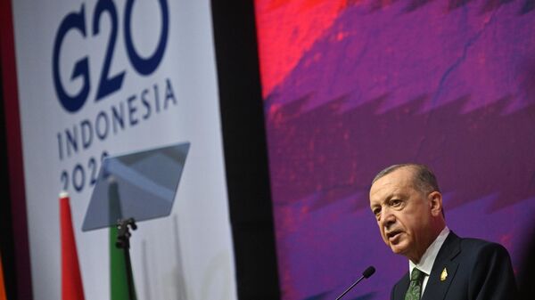 Саммит G20 на Бали - Sputnik Ўзбекистон
