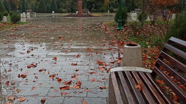 Дождь в Ташкенте. - Sputnik Узбекистан