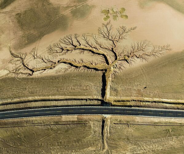 Гран-при конкурса получил снимок китайского фотографа Ли Пин с изображением &quot;дерева&quot;. На самом деле это овраги по обеим сторонам шоссе, образовавшиеся в результате эрозии почвы от дождей. Фото сделано в Тибете. - Sputnik Узбекистан