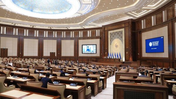 Сенат Олий Мажлиса. Архивное фото - Sputnik Узбекистан