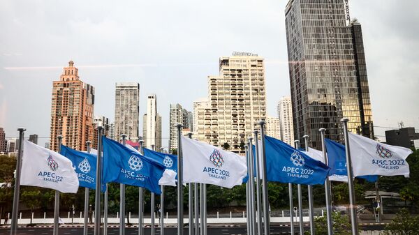  Флаги саммита Азиатско-Тихоокеанского экономического сотрудничества (АТЭС) в Бангкоке 18 ноября 2022 года. - Sputnik Узбекистан