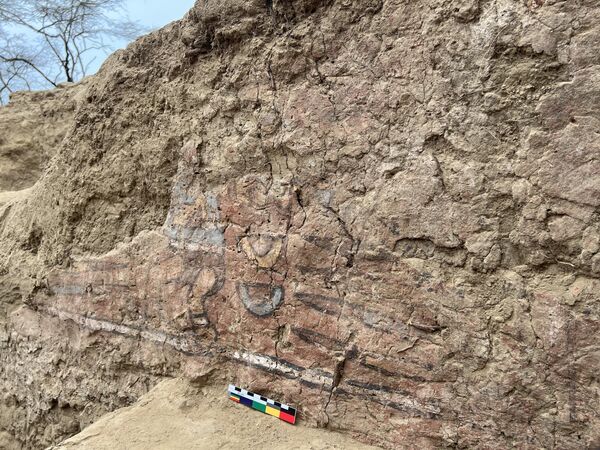 Швейцарский археолог Сэм Гавами из Фрибурского университета с группой перуанских студентов обнаружил 30-метровую стену с фреской Уака-Пинтада с изображением мифических рисунков недалеко от города Чиклайо, Перу - Sputnik Узбекистан