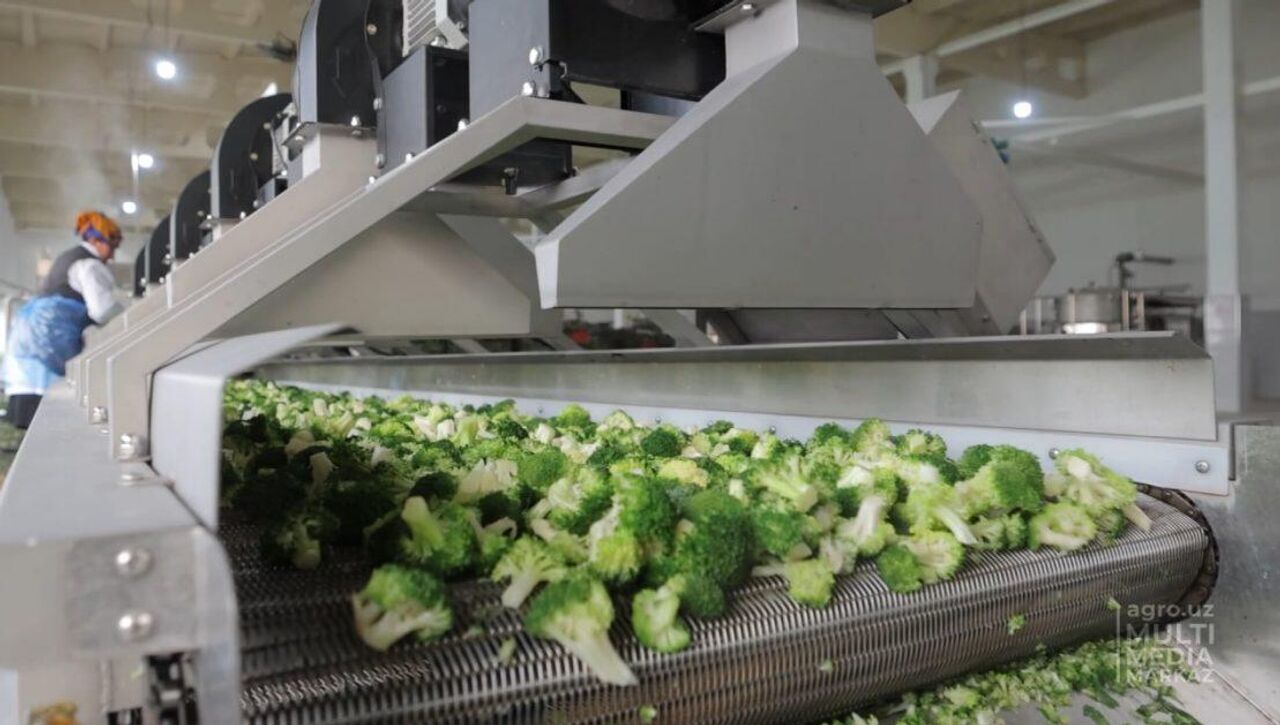 Paypoq bilan boglangan va gagged qizlarning fotosuratlari Qani, senga ruxsat bersam, meni sik.