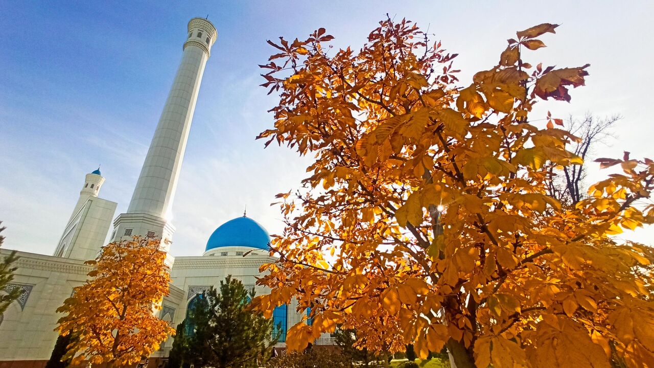 Peignoirs va chiroyli liboslardagi gozal qizlar onanizm, erotik fotosuratlar va videolar. Bir hidli tukli mushukni yalash