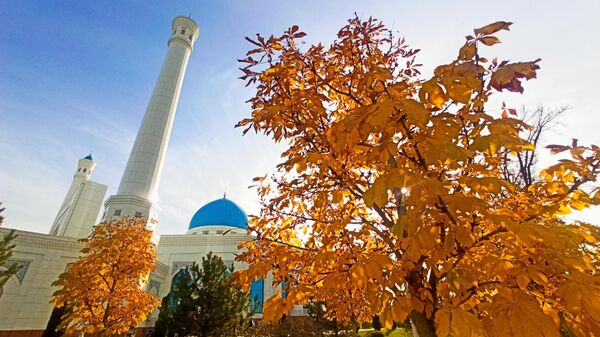 Poslednie dni oseni v Uzbekistane. - Sputnik O‘zbekiston