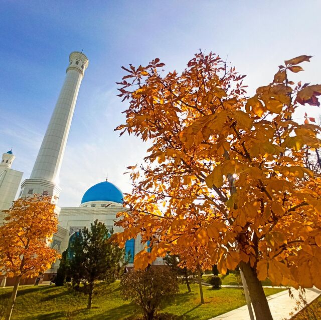 Tabiat qoynidagi tomosha Tabiat qoynidagi tomosha