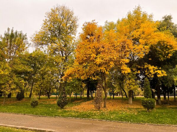 Осень в Ташкенте. - Sputnik Узбекистан
