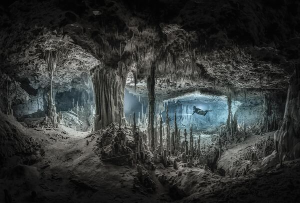Снимок &quot;Затопленная пещера&quot; американского фотографа Мартина Броена сделан на полуострове Юкатан в Мексике. - Sputnik Узбекистан