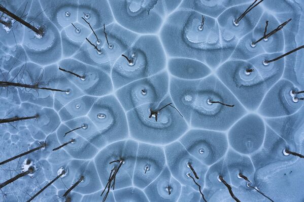 Снимок &quot;Сеть&quot; румынского фотографа Георга Попа, сделанный на озере  Куэйдель.  - Sputnik Узбекистан