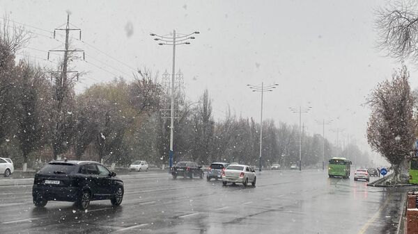Снег в Ташкенте - Sputnik Ўзбекистон